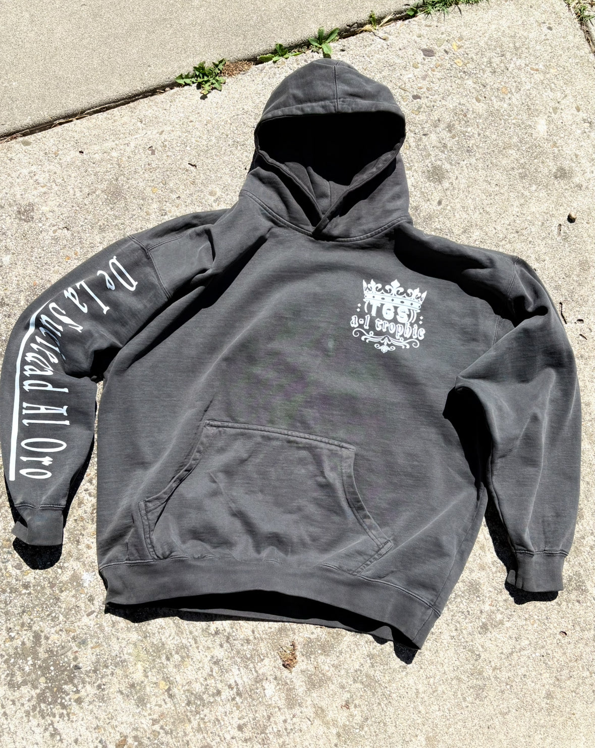 TGS “DLSAO” Heavyweight Hoodies